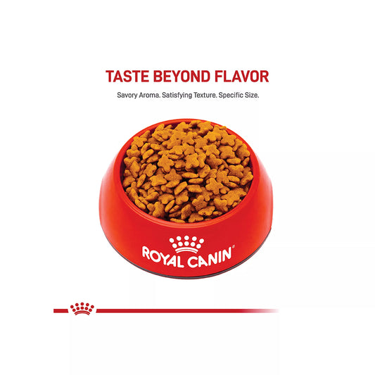 Royal Canin Size Health Nutrition Small Breed Adult Dry Dog Food