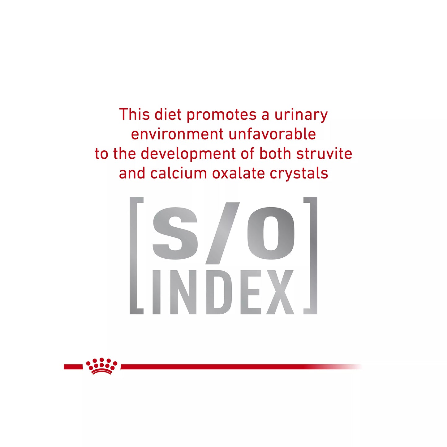 Royal Canin® Veterinary Diet Canine Glycobalance Adult Dog Loaf in Sauce Wet Food 13.4 oz can