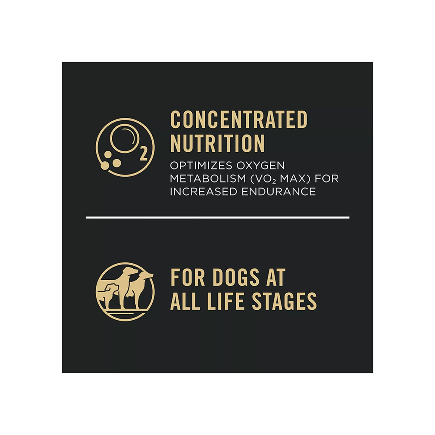 Purina Pro Plan Sport Performance 30/20 All Life Stages Dry Dog Food - Salmon & Rice