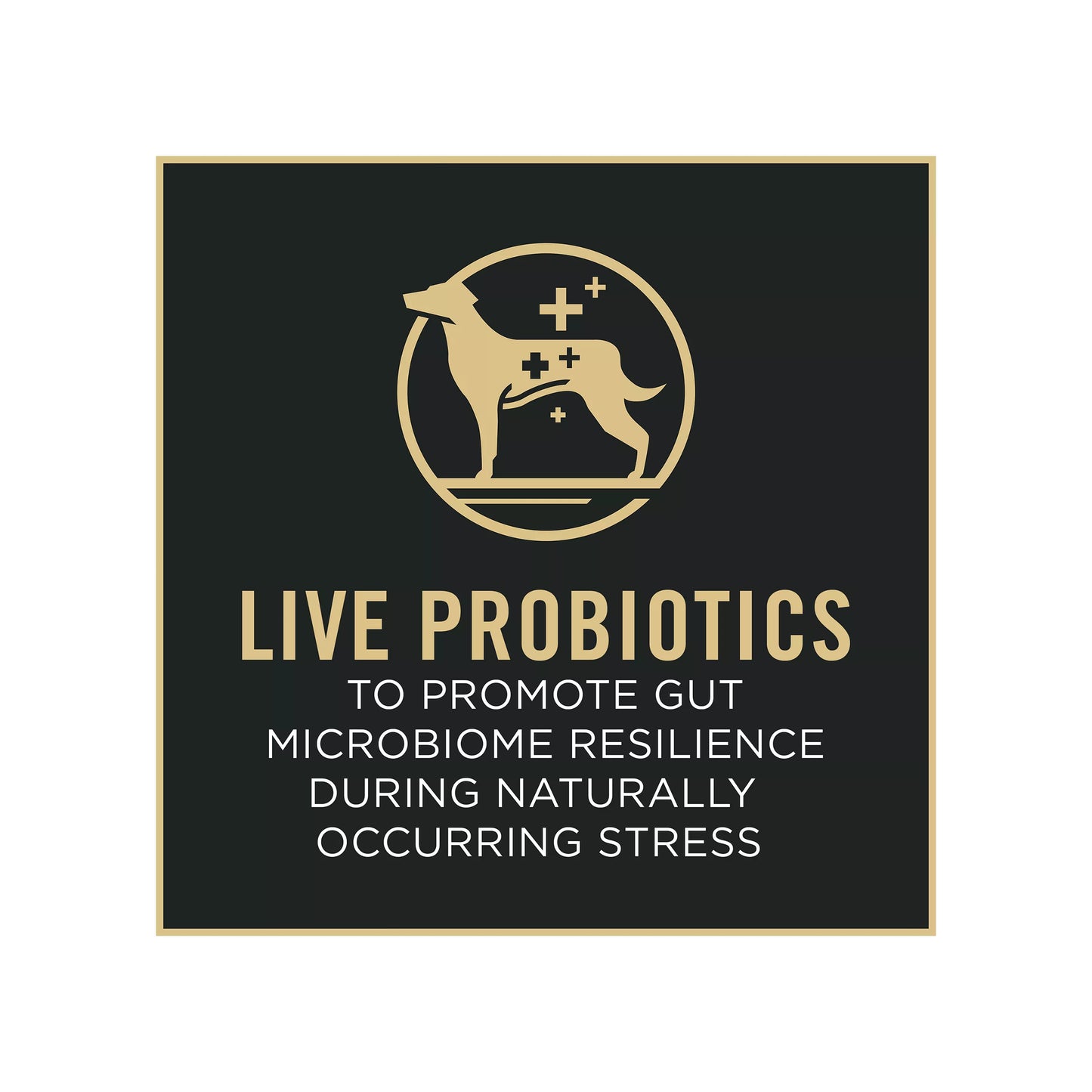 Purina Pro Plan Specialized Shredded Blend Small Breed Adult Dog Dry Food - Chicken & Rice