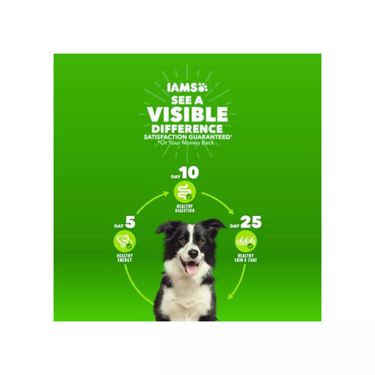 IAMS™ Proactive Health Adult Dry Dog Food - High-Protein, Mini Chunks, Chicken & Whole Grains