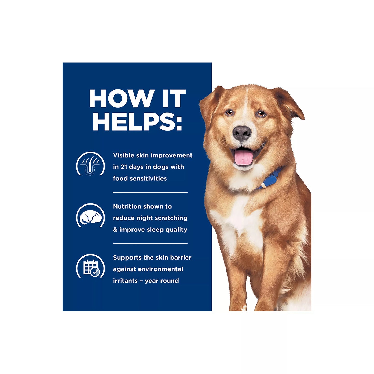 Hill's® Prescription Diet® Derm Complete Skin & Food Sensitivities Adult Dry Dog Food