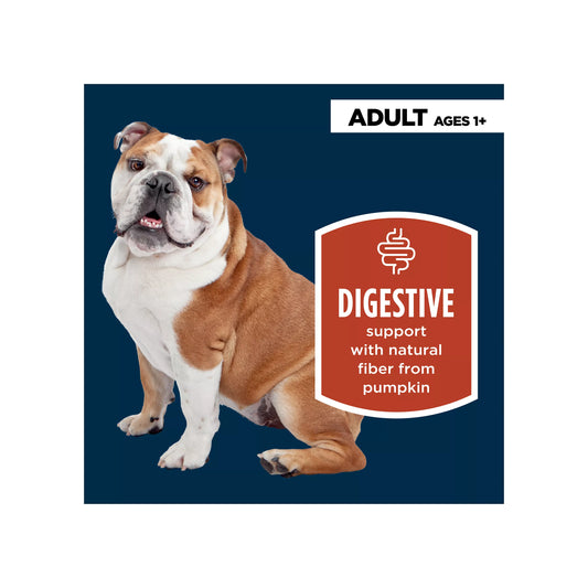 Authority® Digestive Support All Life Stages Wet Dog Food Supplement Topper - Pumpkin, 15 oz