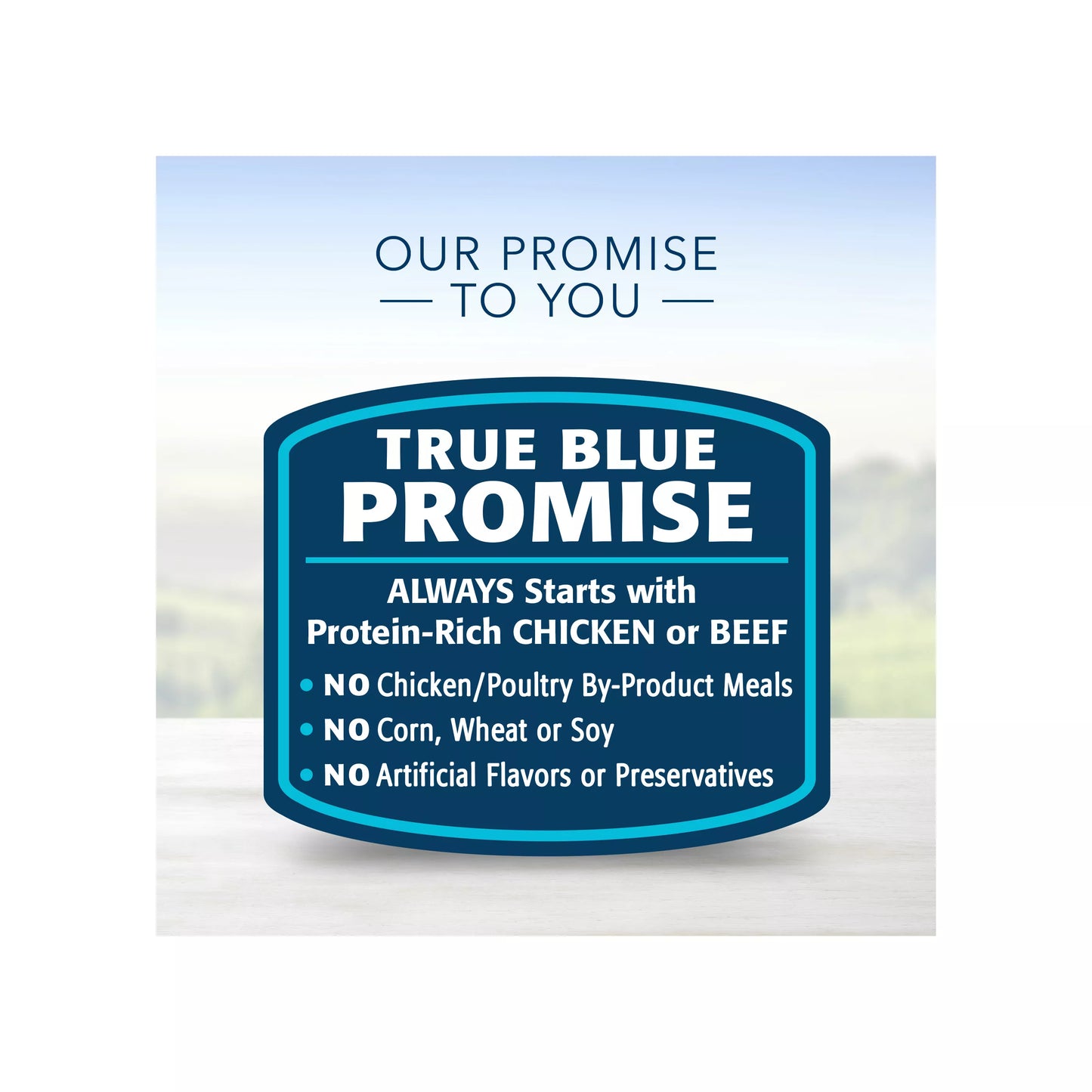 Blue Buffalo® Delectables Variety Pack Adult Dog Food Topper - Chicken & Beef, 3 oz, 12 Count