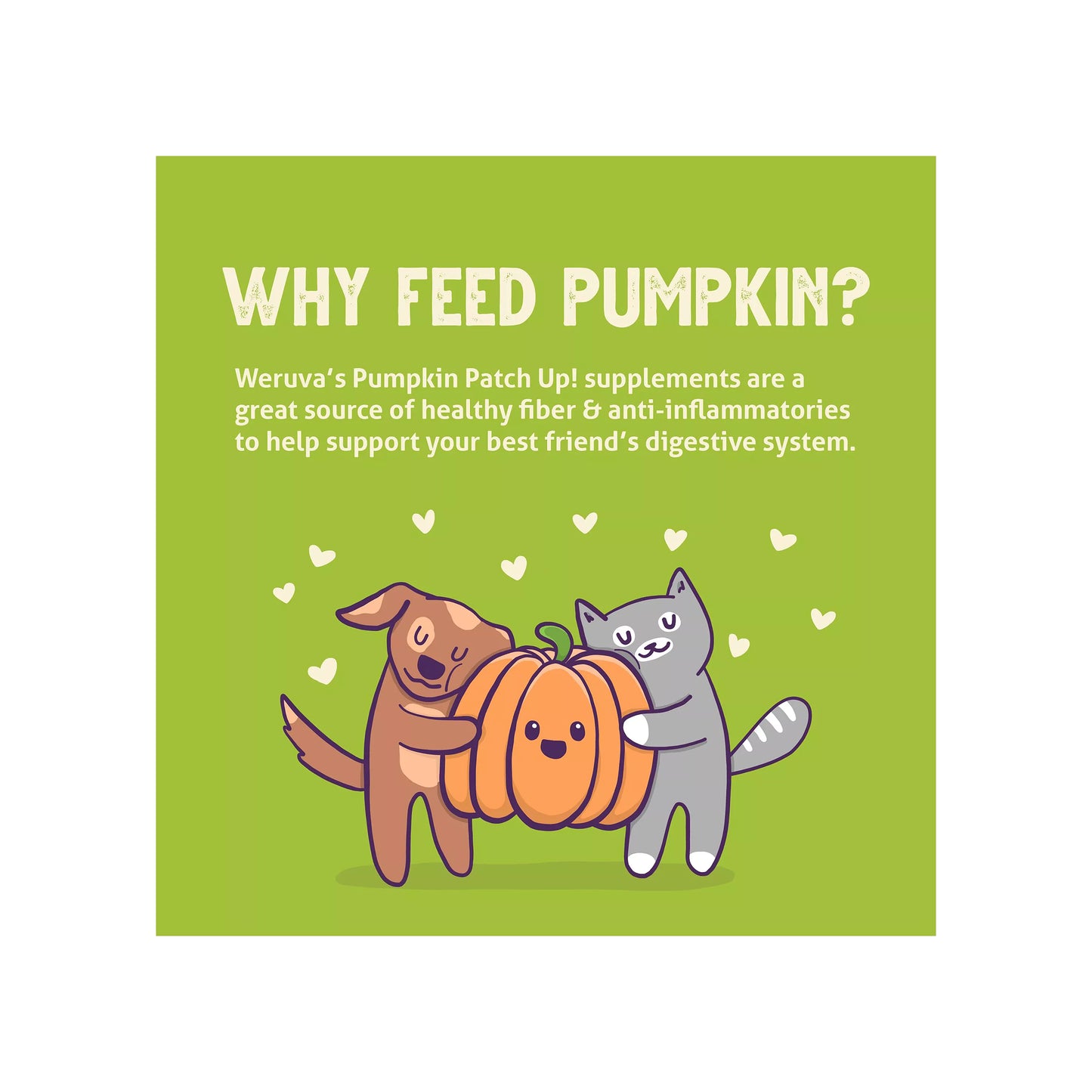 Weruva Pumpkin Patch Up! Supplement for Cats and Dogs - Digestive Support, Pureed Pumpkin, 1.05 OZ