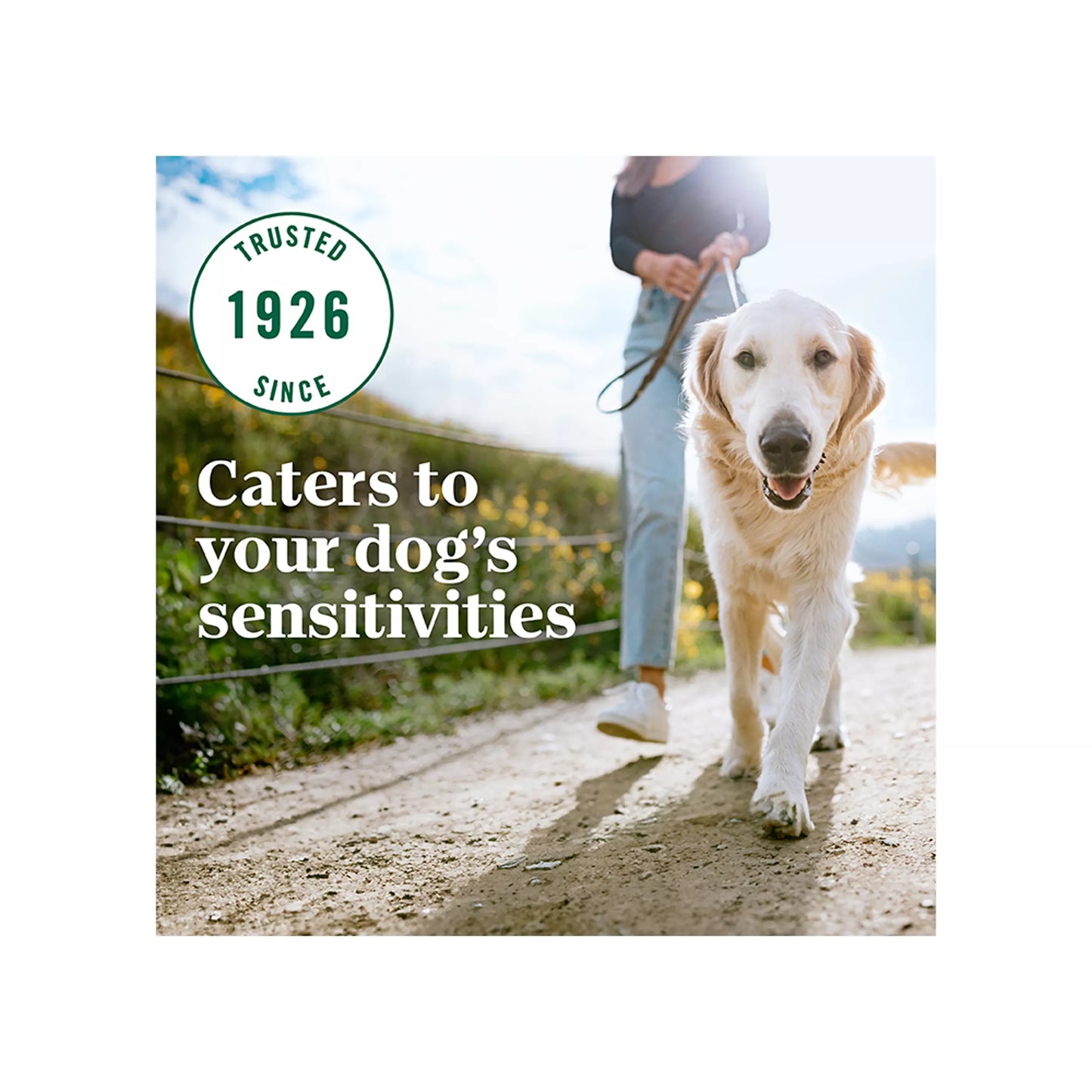 Nutro Natural Choice Limited Ingredient Adult Dog Food - Grain Free, Salmon & Lentils Recipe