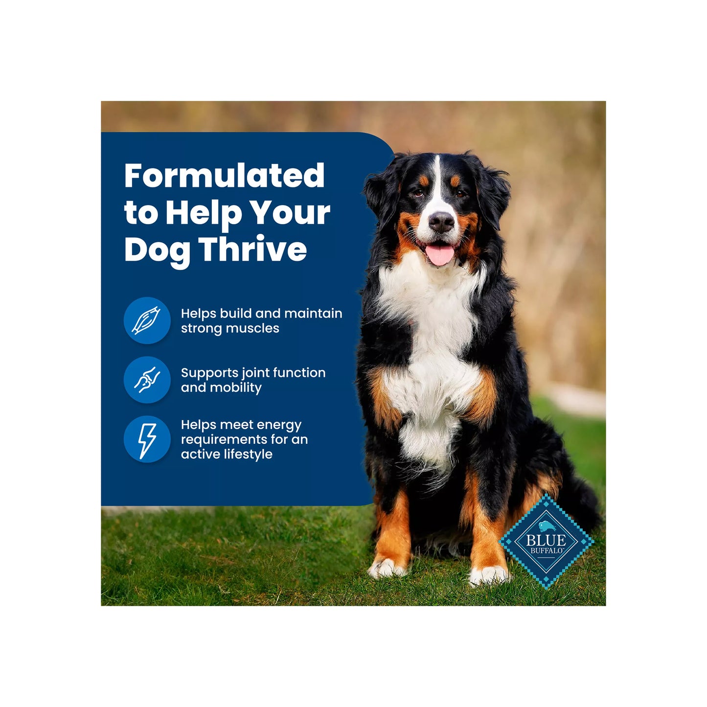 Blue Buffalo® Life Protection Formula™ Adult Dry Dog Food - Chicken & Brown Rice