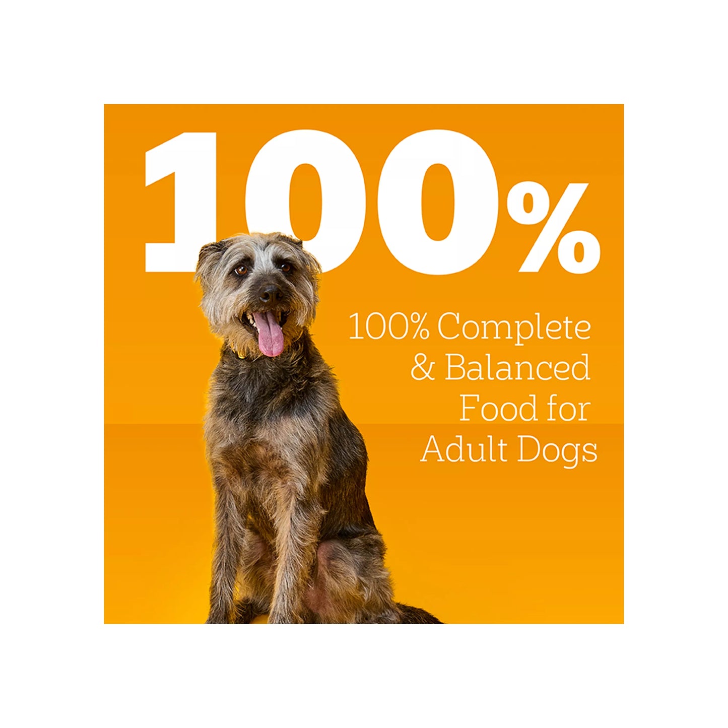 9*12 Can Packs - Pedigree® Choice Cuts in Gravy Adult Wet Dog Food - 13.2 Oz., 12 Count, Variety Pack