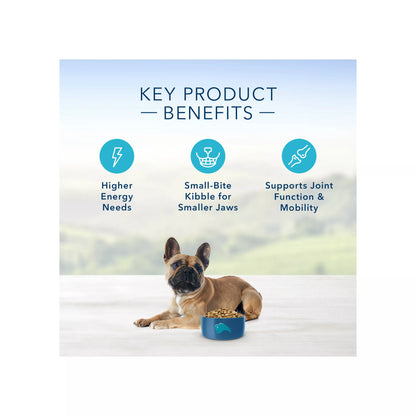 Blue Buffalo® Life Protection Formula™ Small Breed Adult Dry Dog Food - Chicken & Brown Rice