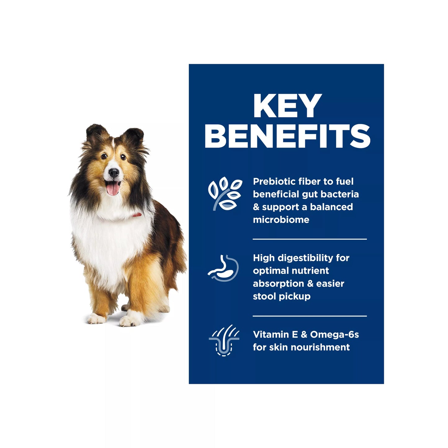 Hill's® Science Diet® Sensitive Stomach & Skin Adult Dry Dog Food - Chicken & Barley