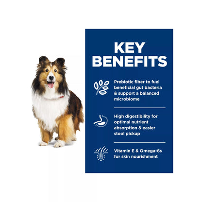 Hill's® Science Diet® Sensitive Stomach & Skin Adult Dry Dog Food - Chicken & Barley