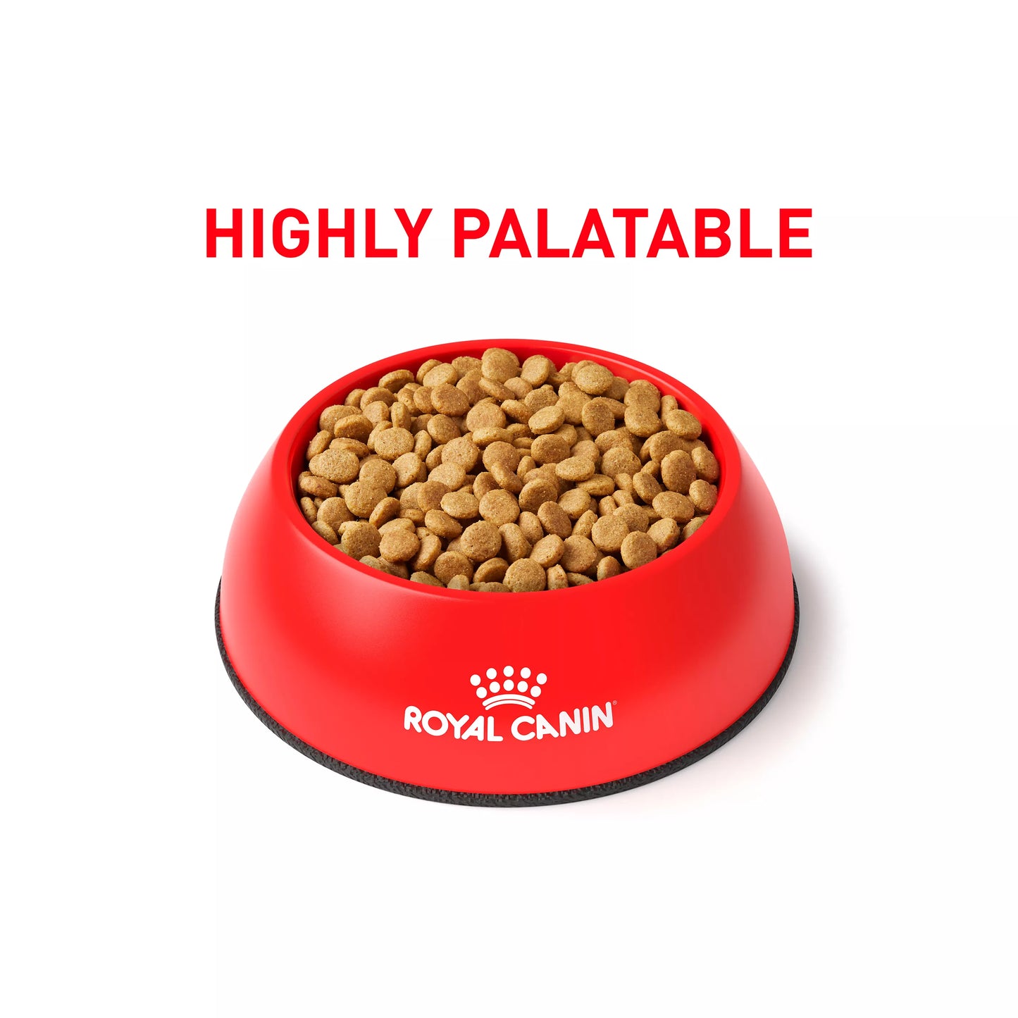 Royal Canin® Veterinary Diet Canine Gastrointestinal Adult Dry Dog Food