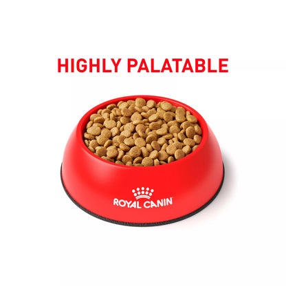 Royal Canin® Veterinary Diet Canine Gastrointestinal Adult Dry Dog Food