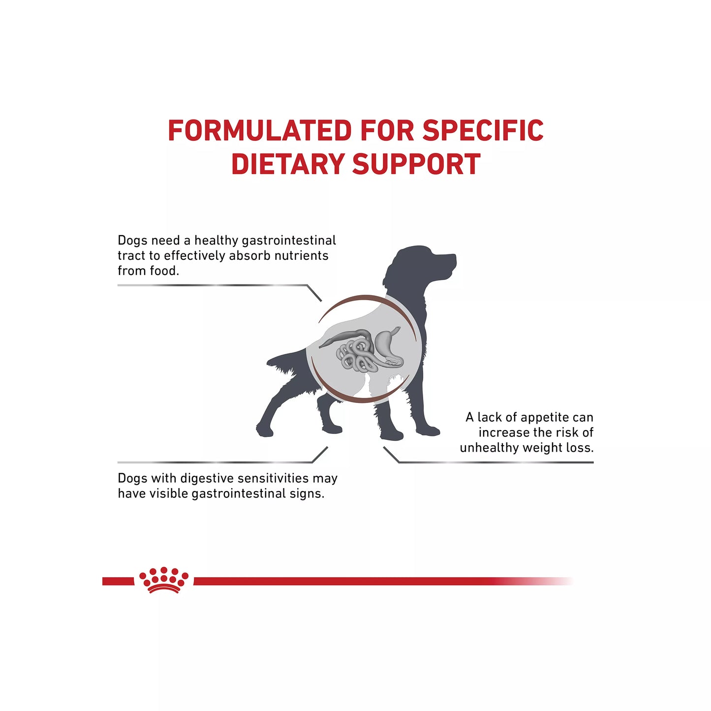 Royal Canin® Veterinary Diet Canine Gastrointestinal Adult Dry Dog Food