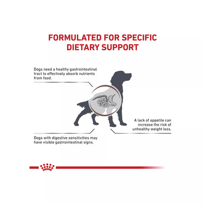 Royal Canin® Veterinary Diet Canine Gastrointestinal Adult Dry Dog Food