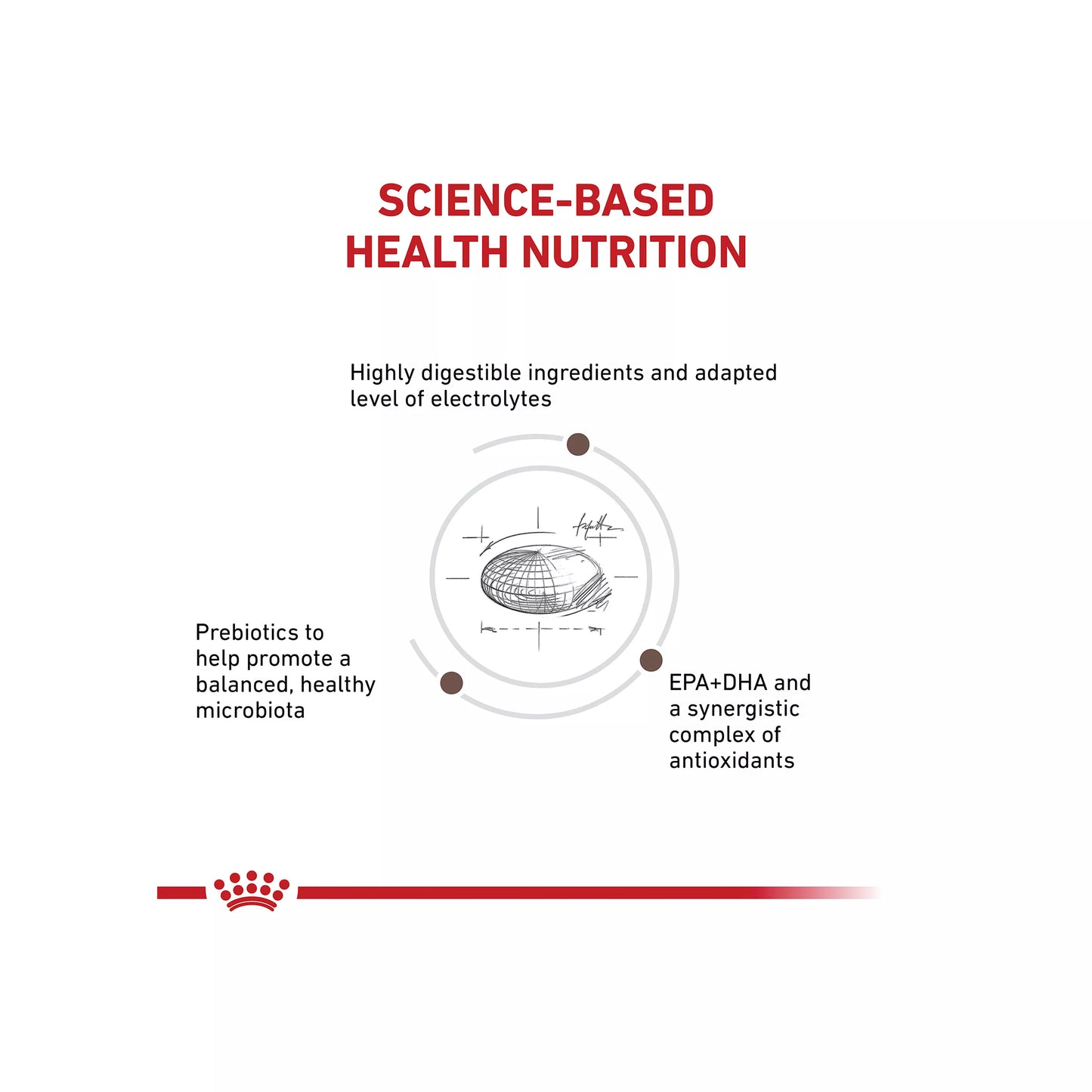 Royal Canin® Veterinary Diet Canine Gastrointestinal Adult Dry Dog Food