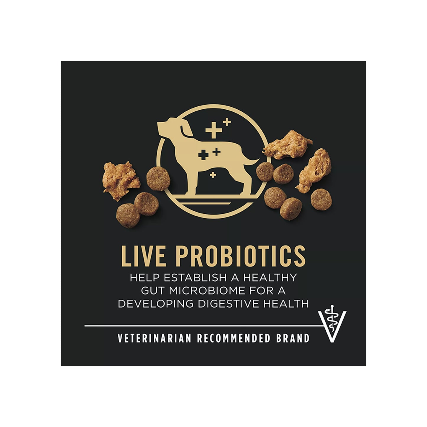 Purina Pro Plan Development Shredded Blend Puppy Dry Dog Food - Chicken & Rice