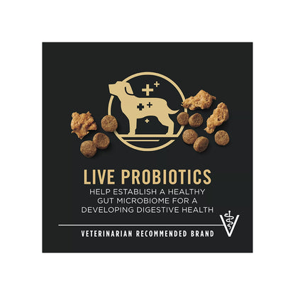 Purina Pro Plan Development Shredded Blend Puppy Dry Dog Food - Chicken & Rice