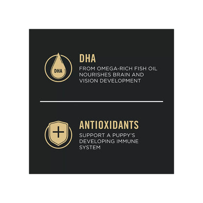 Purina Pro Plan Development Shredded Blend Puppy Dry Dog Food - Chicken & Rice