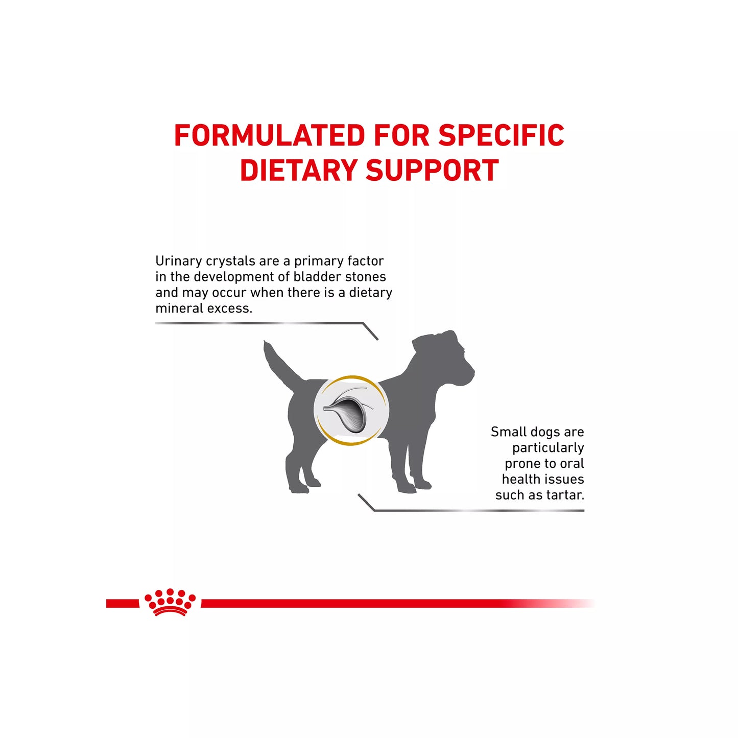 Royal Canin® Veterinary Diet Canine Urinary SO Small Breed Adult Dog Dry Food - 8.8 lb