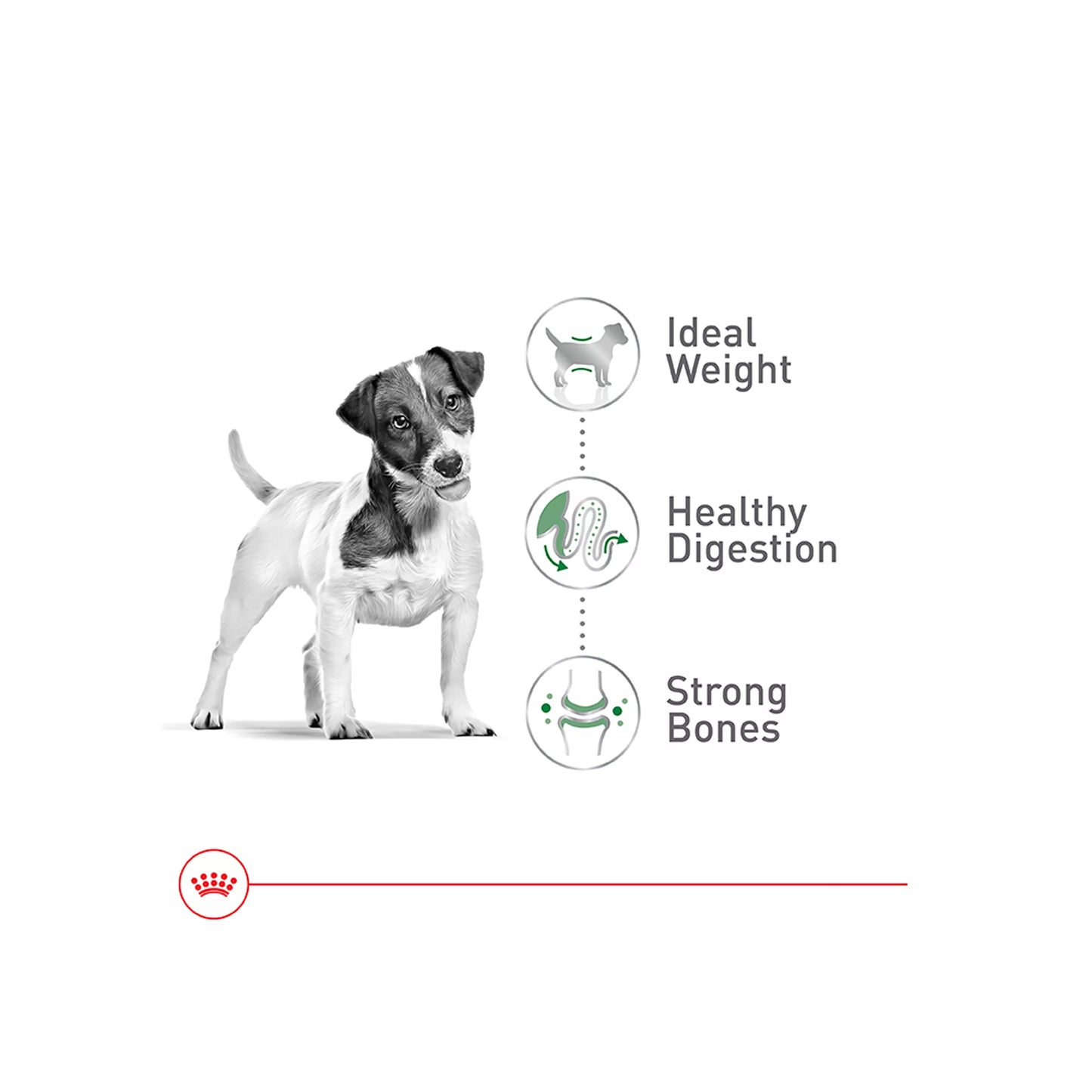 Royal Canin Size Health Nutrition Small Breed Adult Dry Dog Food