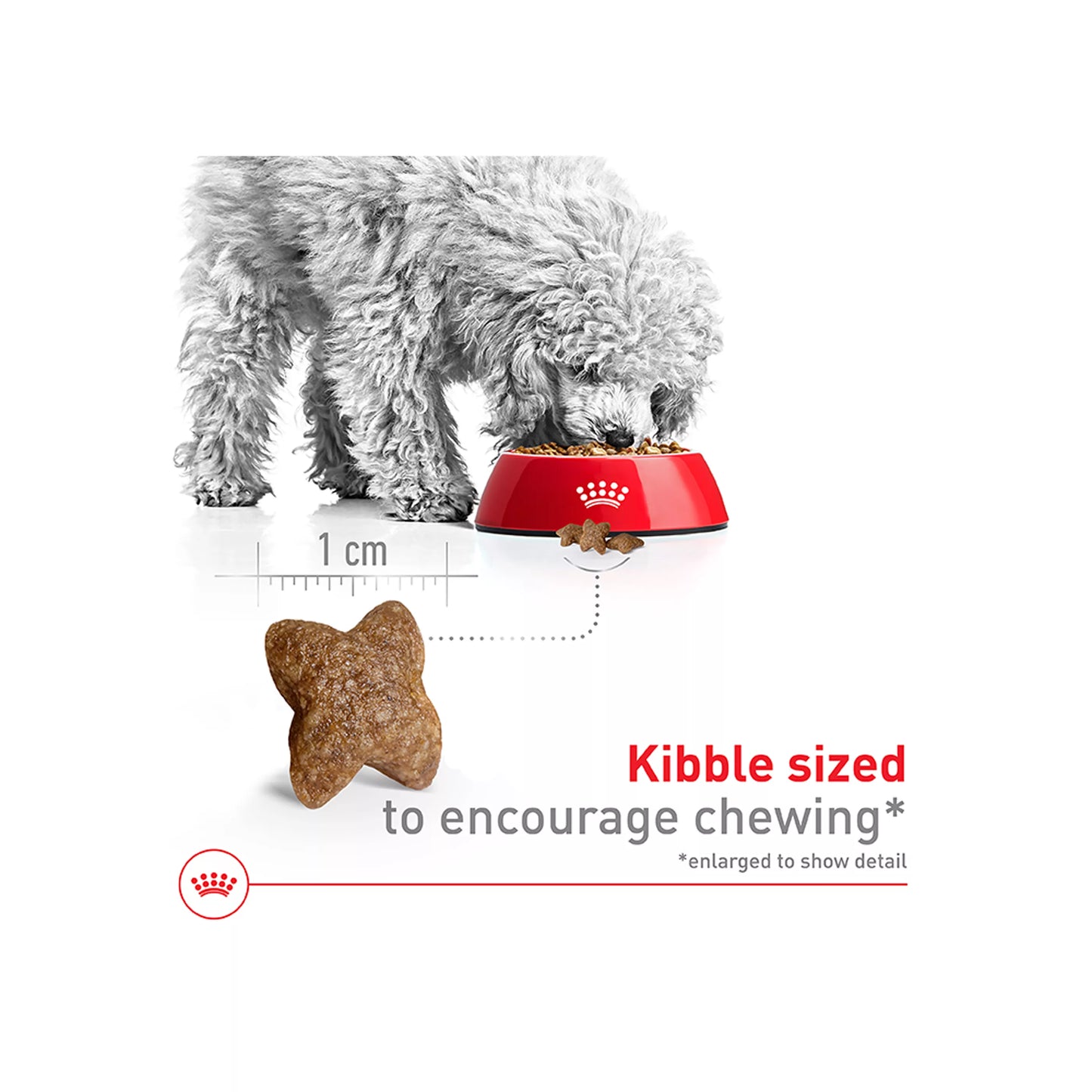 Royal Canin Size Health Nutrition Small Breed Adult Dry Dog Food