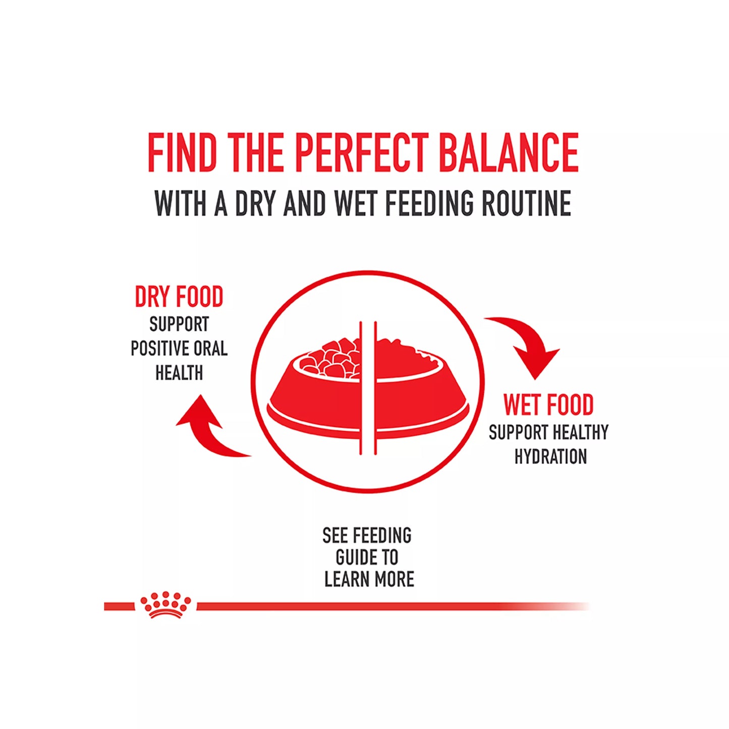 Royal Canin Size Health Nutrition Small Breed Adult Dry Dog Food