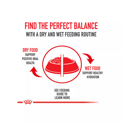 Royal Canin Size Health Nutrition Small Breed Adult Dry Dog Food