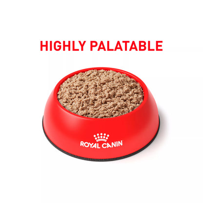 Royal Canin® Veterinary Diet Canine Glycobalance Adult Dog Loaf in Sauce Wet Food  13.4 oz can