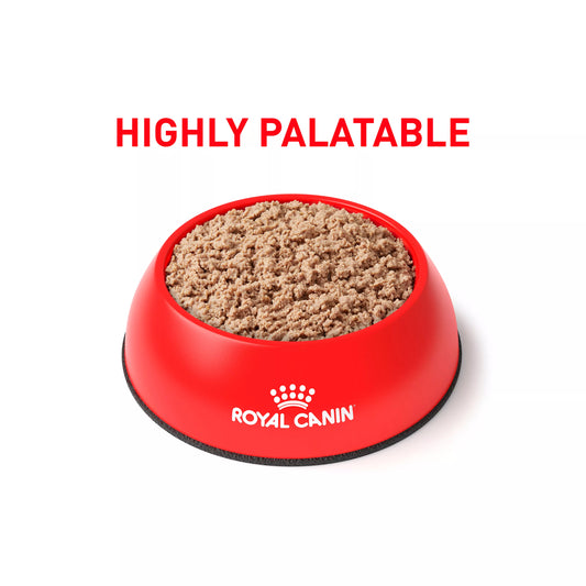 Royal Canin® Veterinary Diet Canine Glycobalance Adult Dog Loaf in Sauce Wet Food  13.4 oz can