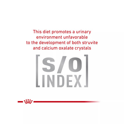 Royal Canin® Veterinary Diet Canine Glycobalance Adult Dog Loaf in Sauce Wet Food  13.4 oz can