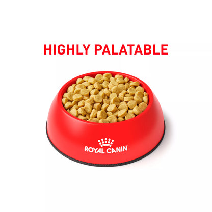 Royal Canin® Veterinary Diet Hydrolyzed Protein HP Adult Dog Dry Food