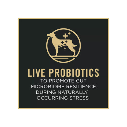 Purina Pro Plan Specialized Shredded Blend Small Breed Adult Dog Dry Food - Chicken & Rice