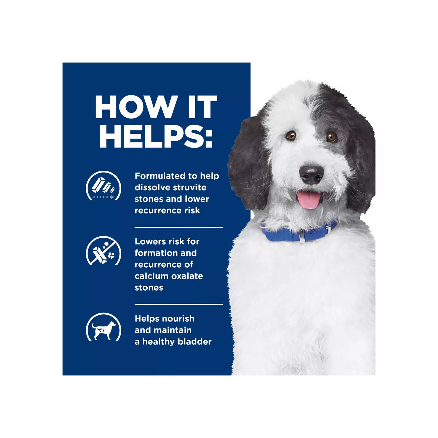 Hill's® Prescription Diet® c/d Multicare Urinary Care Adult Dog Food - Chicken