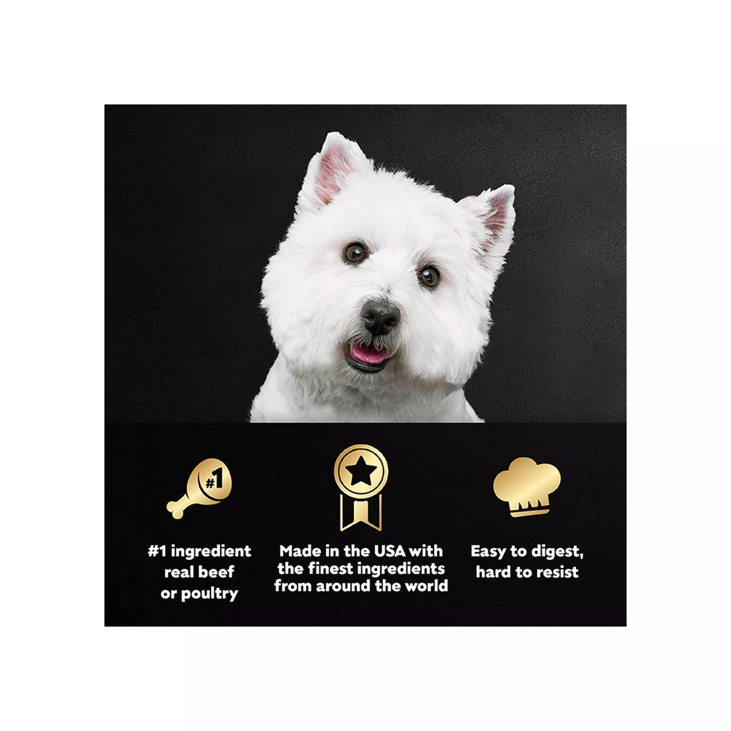 Cesar® Classics Home Delights Adult Wet Dog Food - Chunks in Gravy , 24 Count, Variety Pack