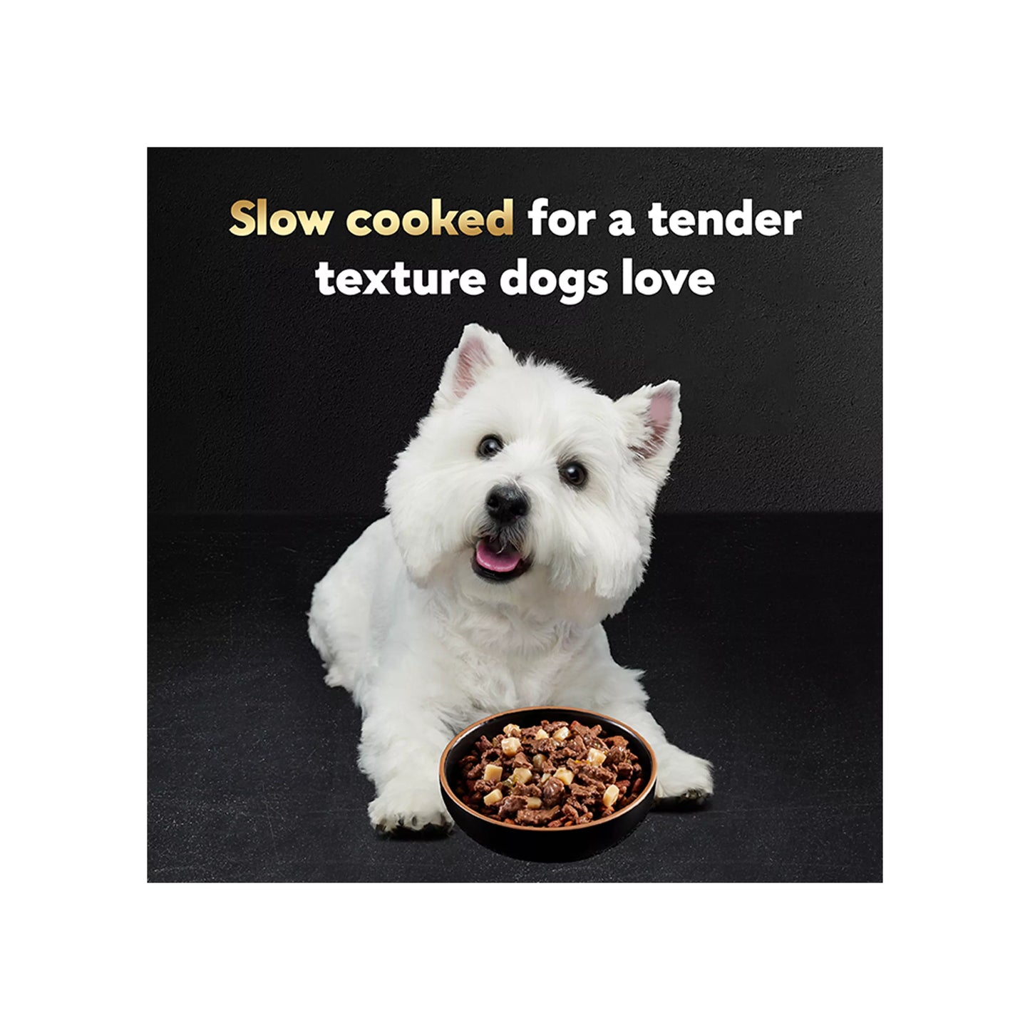 Cesar® Classics Home Delights Adult Wet Dog Food - Chunks in Gravy , 24 Count, Variety Pack