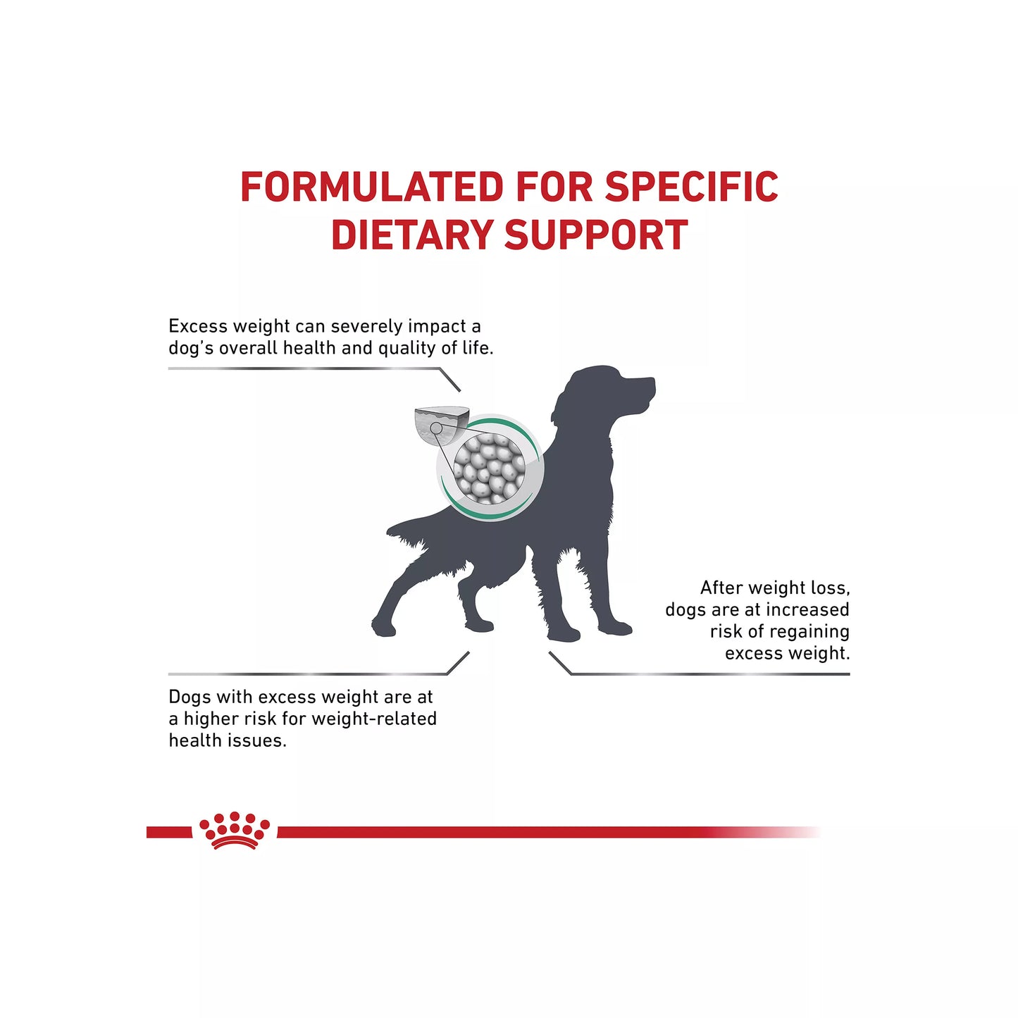 Royal Canin(R) Veterinary Diet Satiety Support Adult Dry Dog Food - Weight Management