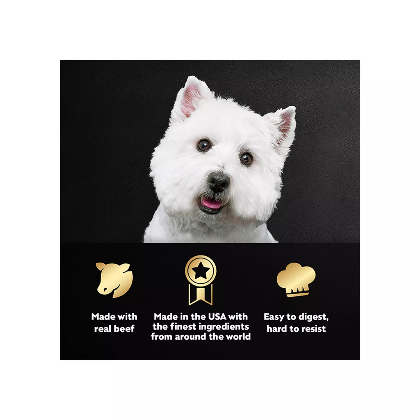 Cesar® Classics Adult Wet Dog Food - Filets in Gravy , 24 Count