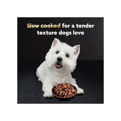 Cesar® Classics Adult Wet Dog Food - Filets in Gravy , 24 Count