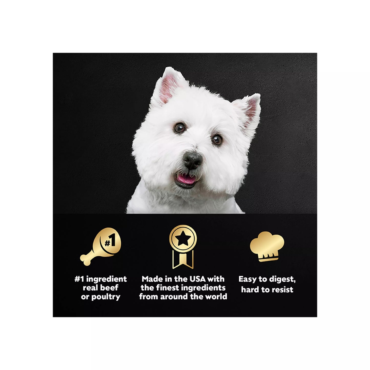 6x36 Count Packs Cesar® Classics Adult Wet Dog Food - Loaf, 216 Count