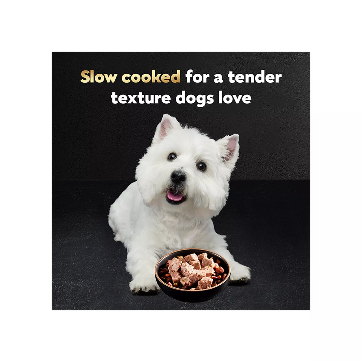 6x36 Count Packs Cesar® Classics Adult Wet Dog Food - Loaf, 216 Count