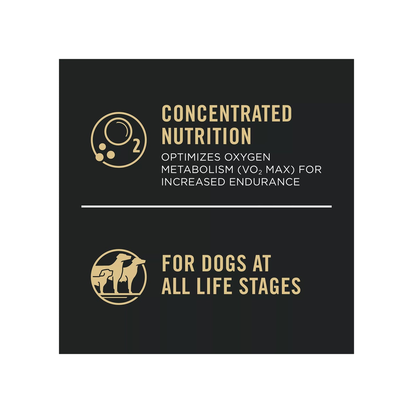Purina® Pro Plan Sport Performance 30/20 All Life Stages Dry Dog Food - Chicken & Rice, High-Protein