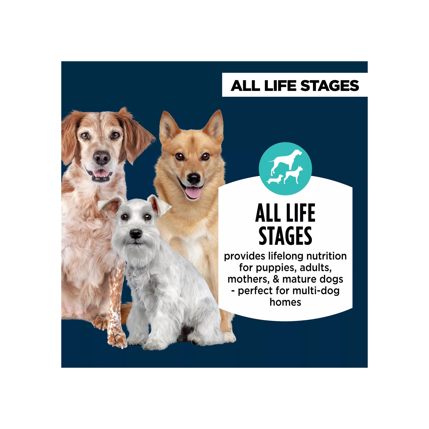 Authority® Everyday Health All Life Stages Dry Dog Food - Chicken & Rice