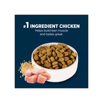 Authority® Everyday Health All Life Stages Dry Dog Food - Chicken & Rice