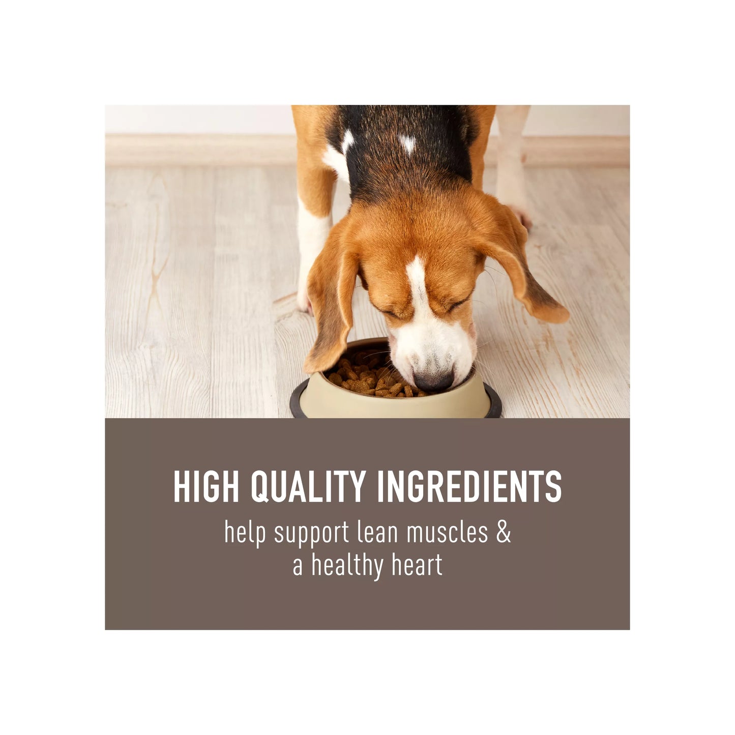 Simply Nourish® Original Adult Dry Dog Food - Lamb & Oatmeal