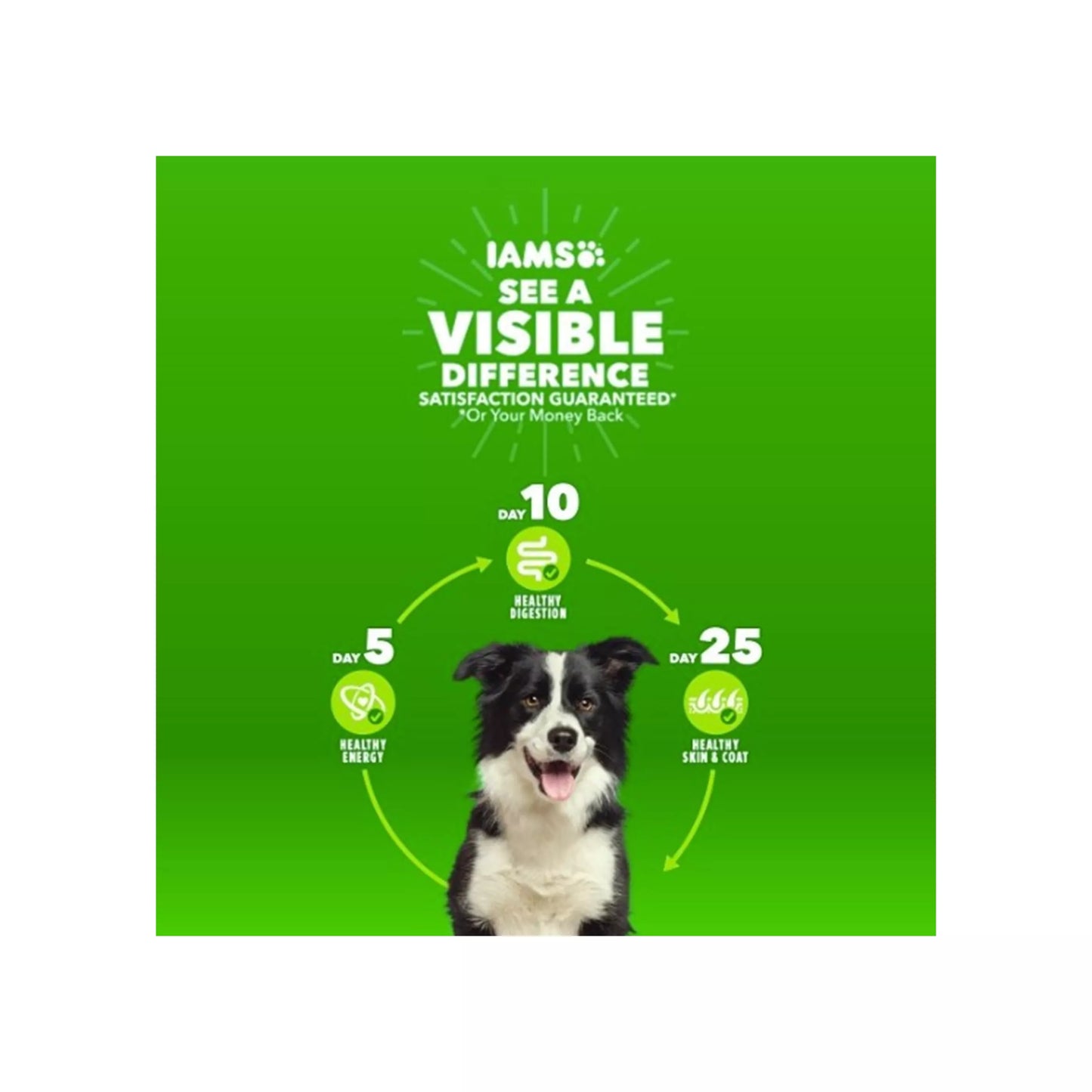 IAMS™ Proactive Health Adult Dry Dog Food - High-Protein, Mini Chunks, Chicken & Whole Grains