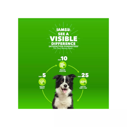 IAMS™ Proactive Health Adult Dry Dog Food - High-Protein, Mini Chunks, Chicken & Whole Grains