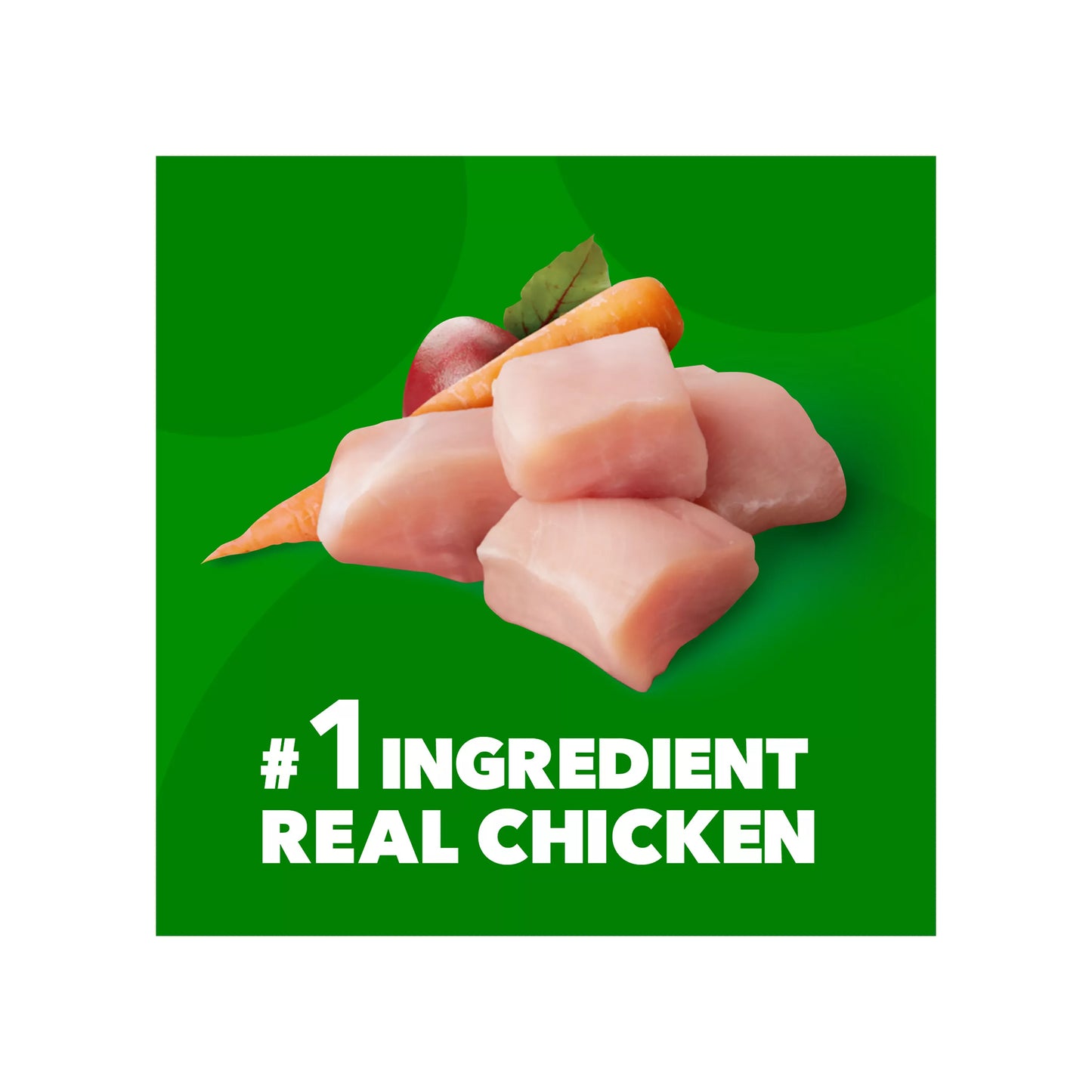 IAMS™ Proactive Health Adult Dry Dog Food - High-Protein, Mini Chunks, Chicken & Whole Grains