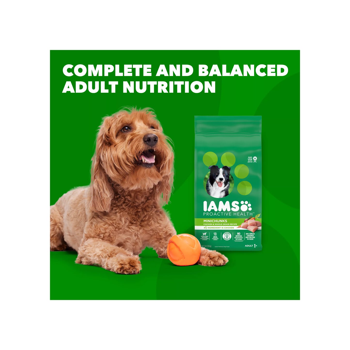 IAMS™ Proactive Health Adult Dry Dog Food - High-Protein, Mini Chunks, Chicken & Whole Grains
