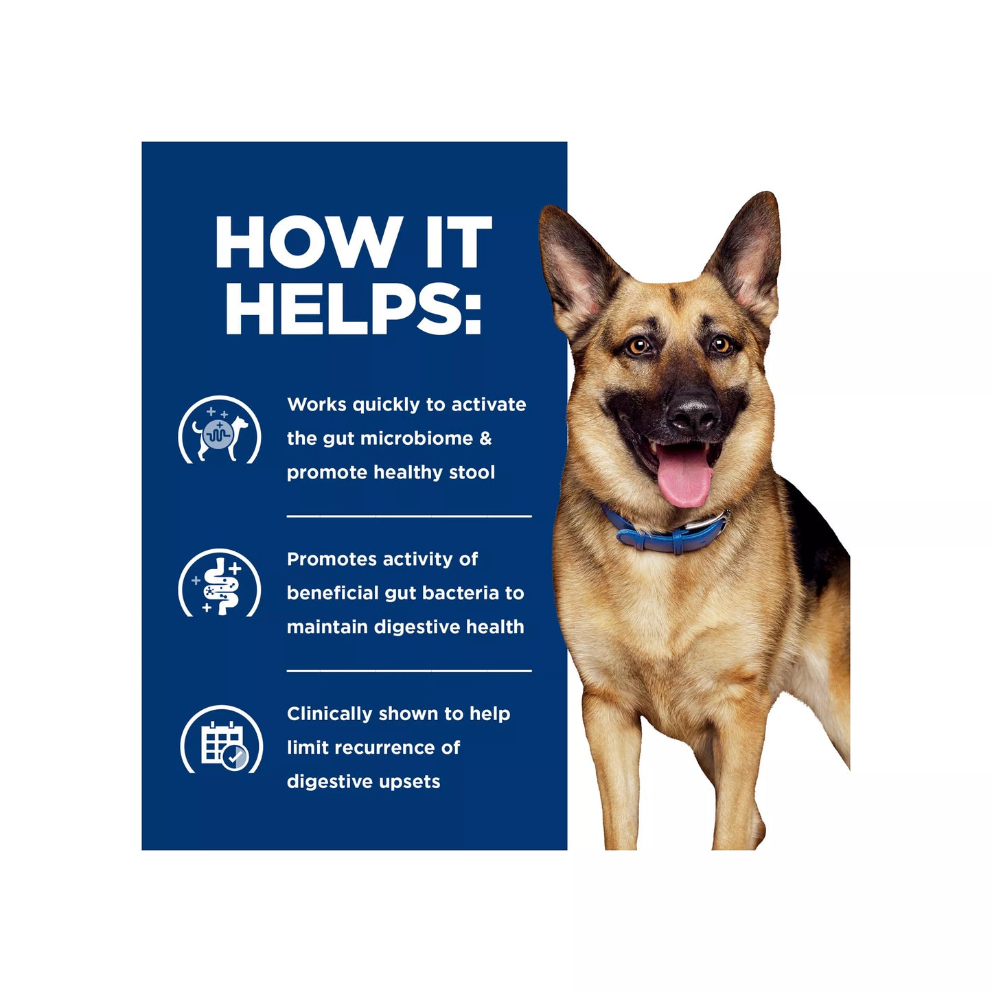 Hill's® Prescription Diet® Gastrointestinal Biome Digestive Fiber Adult Dog Food - Chicken